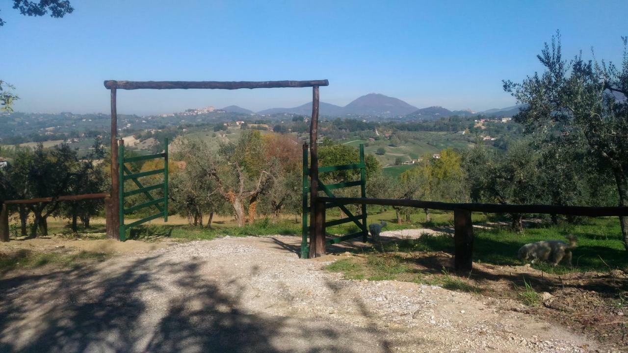 Poggio Mirteto Baduerughe - Valledellago المظهر الخارجي الصورة